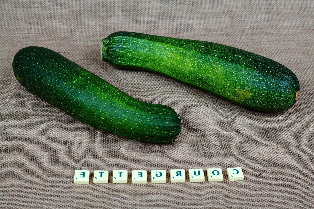 Natural foods and holistic health symbols representing systemic wellness