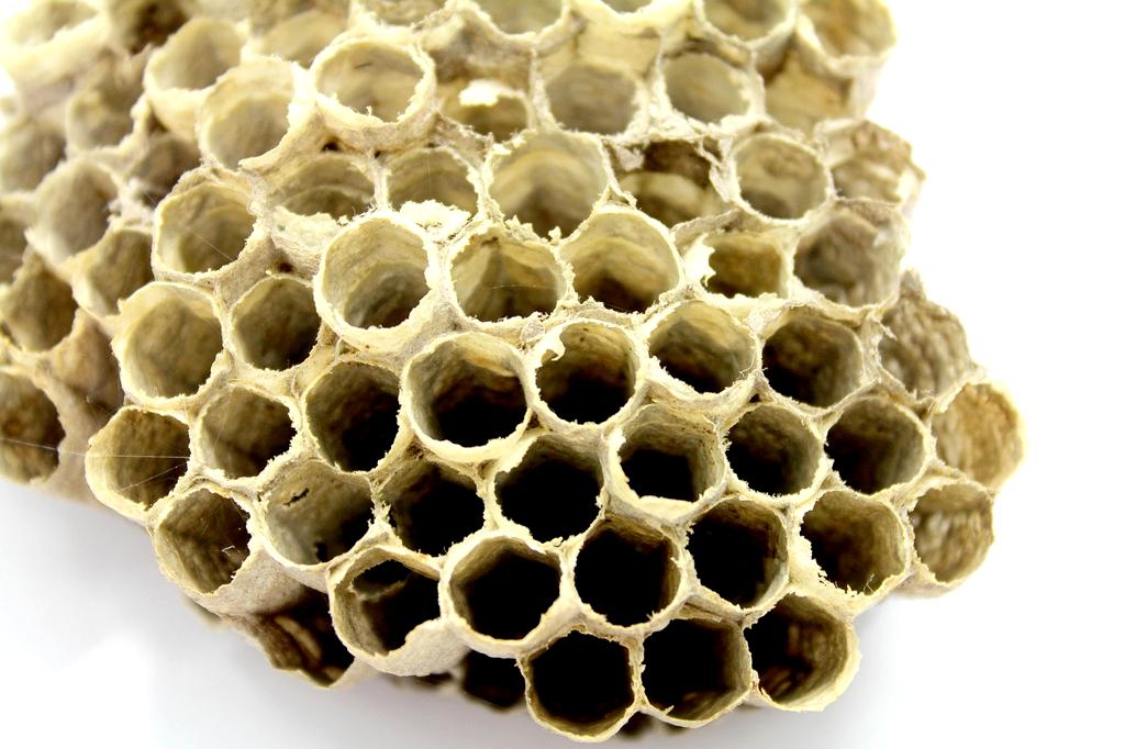 Video Tutorial: Optimizing Your Metabolism